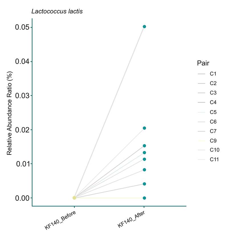 Увеличение в кале исследуемых бактерий штамма Lactococcus lactis KF140 