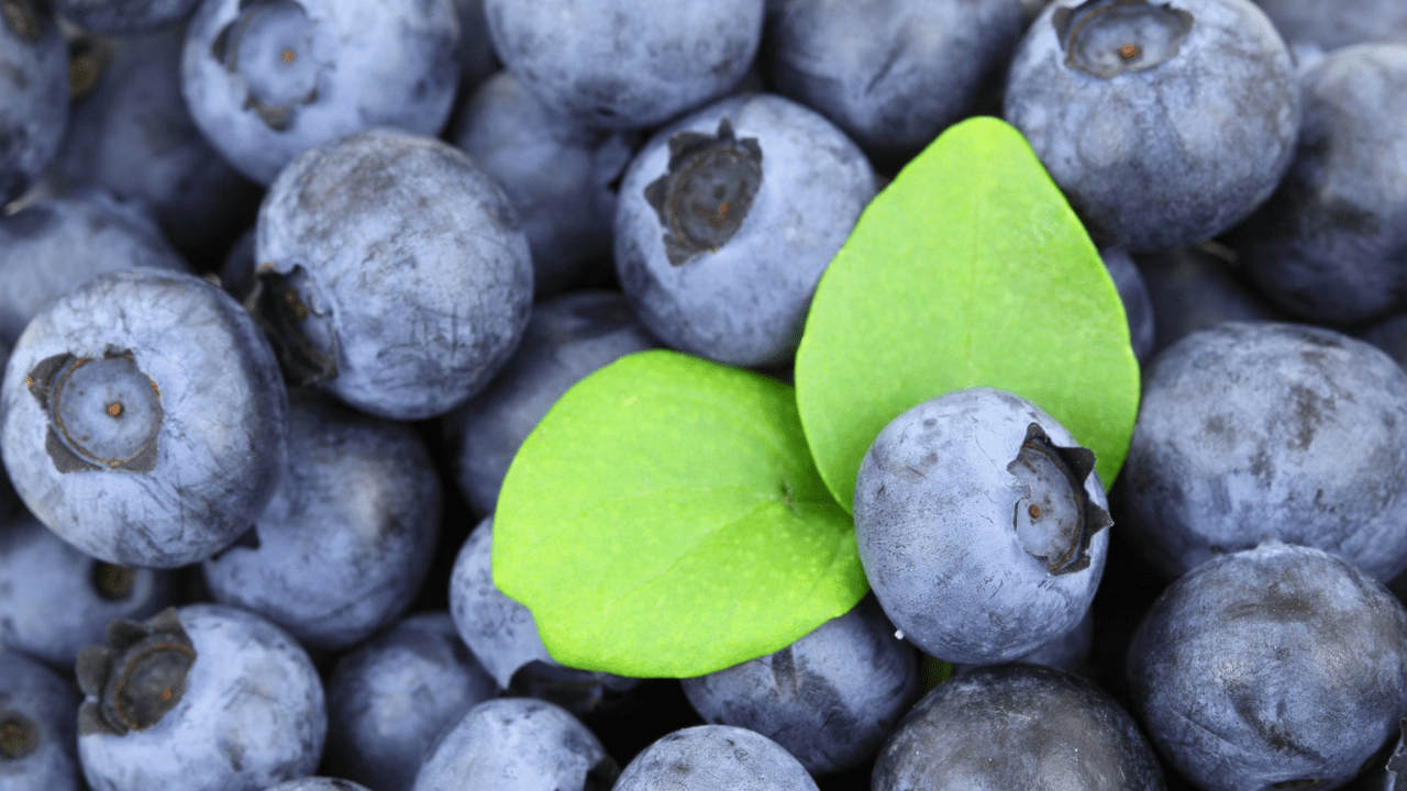 Полезные антиоксиданты в ягодах 